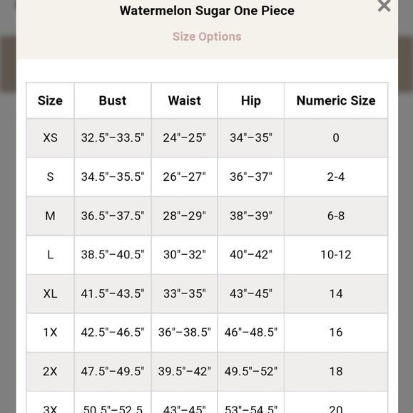 🩵AMARYLLIS🩵 Watermelon Sugar One Piece💜SWIM WEAR💜 - Picture 6 of 6